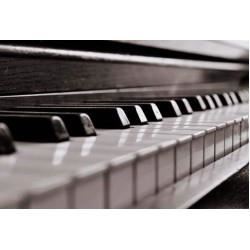 Keyboard, Piano, dan Organ